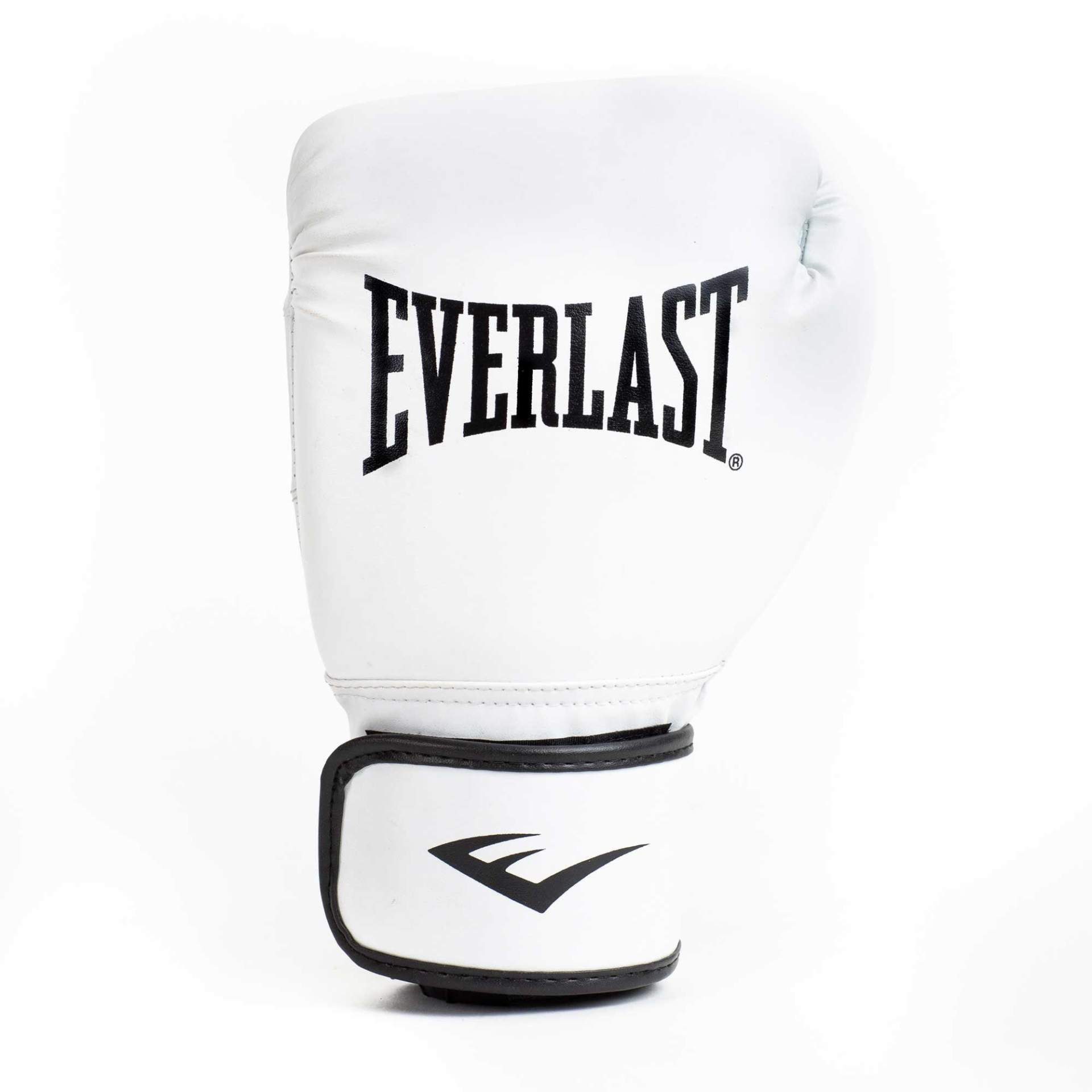 Everlast Core 2 Training-Boxhandschuhe